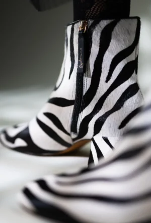 ZEBRA MUSE-5